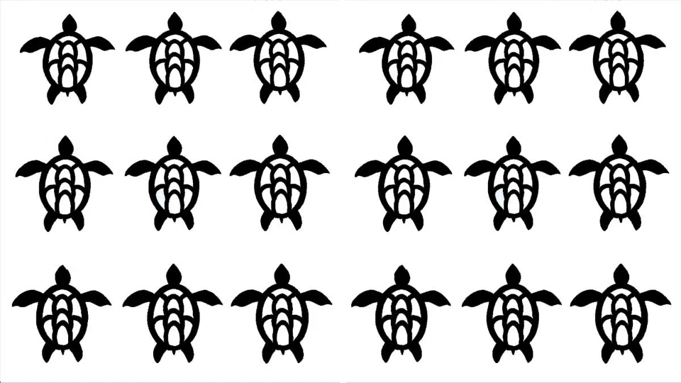 18 Mini Tortugas Marinas Exterior o Interior Vinilo Calcomanía Ventana Coche Laptop Tableta Paredes Foto 4 de 4