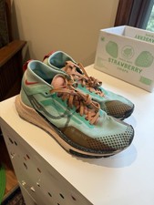 Womens Nike Pegasus Trail 4 Gore-Tex size 7