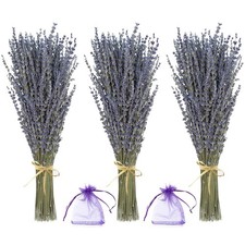 Lavender Bundles - Natural Dried Flowers for Home Decor, 150g 3 Bunches 