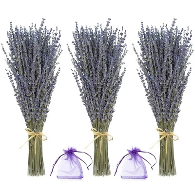 APPLIANCE_ACCESSORIES02 Lavender Bundles - Natural Dried Flowers for Home Decor, 150g (3 Bunches)