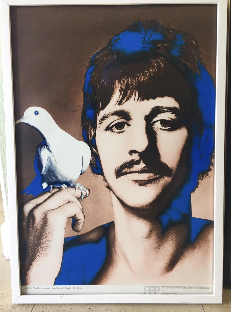 Original Art Posters Richard Avedon for sale | eBay