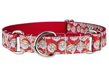 Country Brook Petz Where's Merry Ribbon Martingale Dog Collar