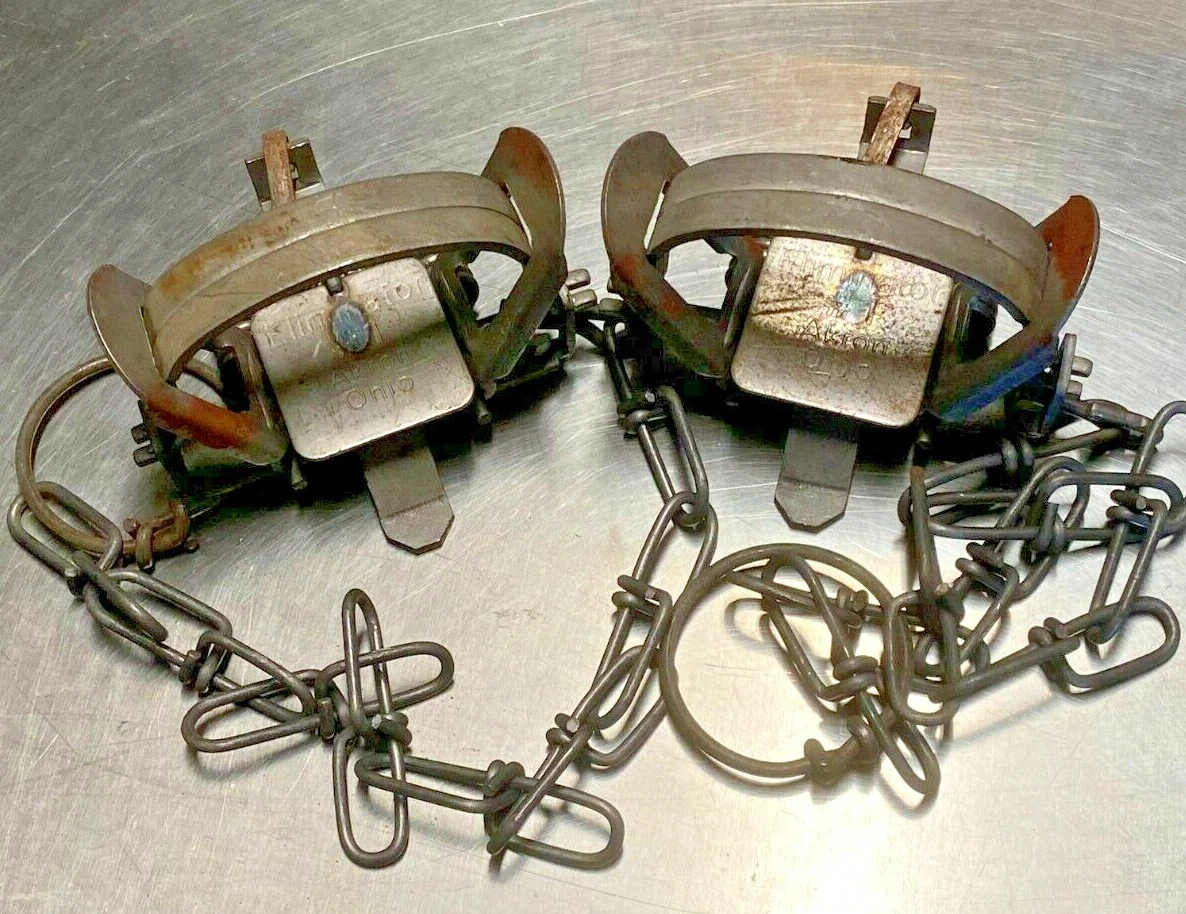 2 - #1 CoilSpring Traps Raccoon Mink Nutria Muskrat Groundhog NEWSALE