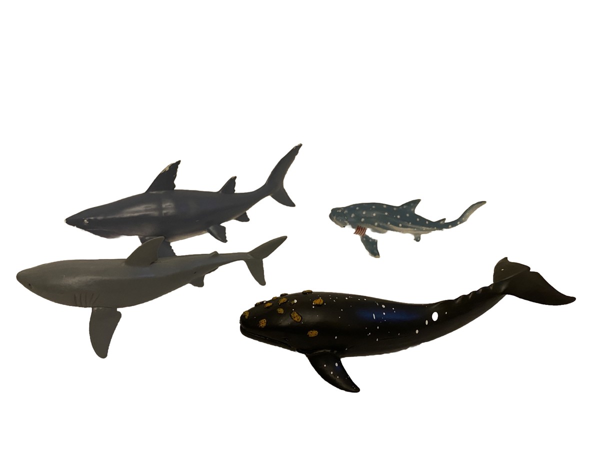 H&O TheArth SC WING TOP SHARK 50 シャーク サメ H&O SC WING TOP 50