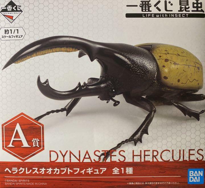 Hercules beetleです。① The Diversity of Life on Earth Hercules Beetle Exclusive Figure