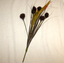 Dried Flower Seed Pods 6 Stems DIY Crafts Fall Harvest Brown Artificial