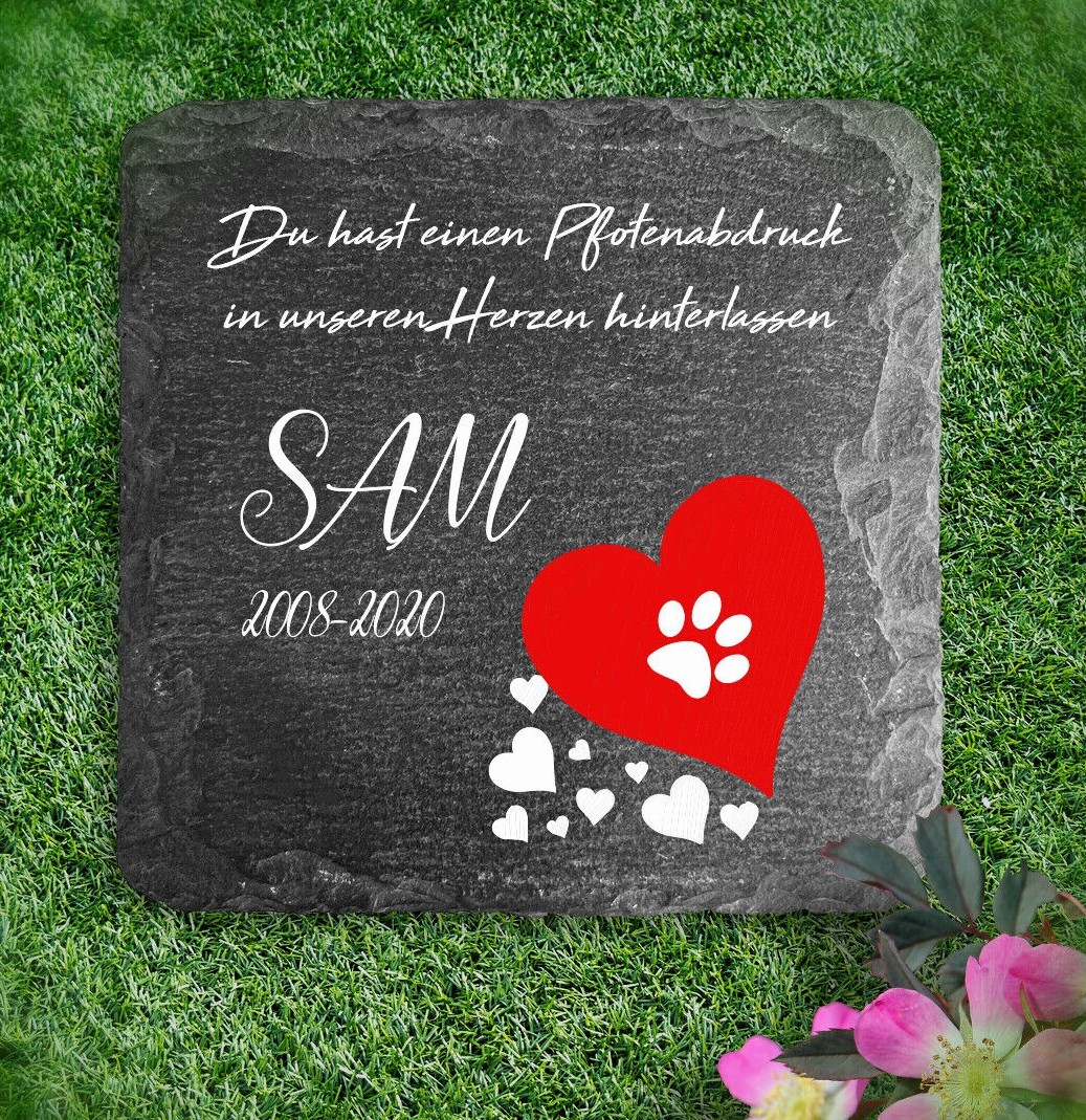 Bild 1 von 8