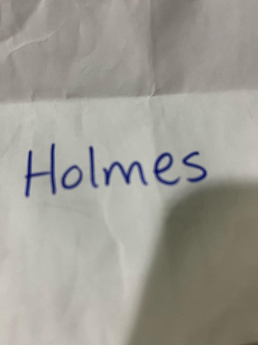 Holmes Sale