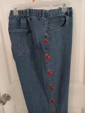 QUACKER FACTORY~~stretch ~5 pkt~EMBROIDERED & BEADED Apples JEANS~high rise~2X