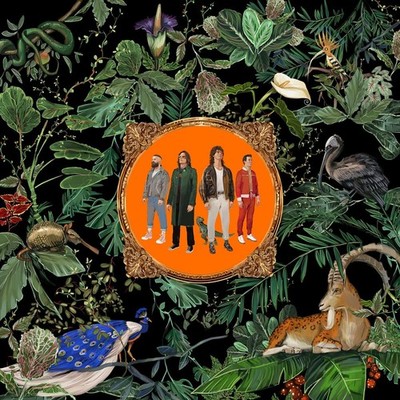 Don Broco Amazing Things with Bonus Track From Japan CD 14tracks