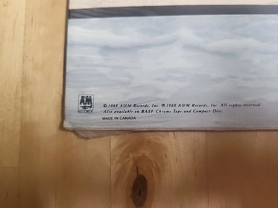 38 SPECIAL,Rock & Roll Strategy Canada New Old Stock SEALED LP NEW 1988 ORIGINAL - Image 3 of 4