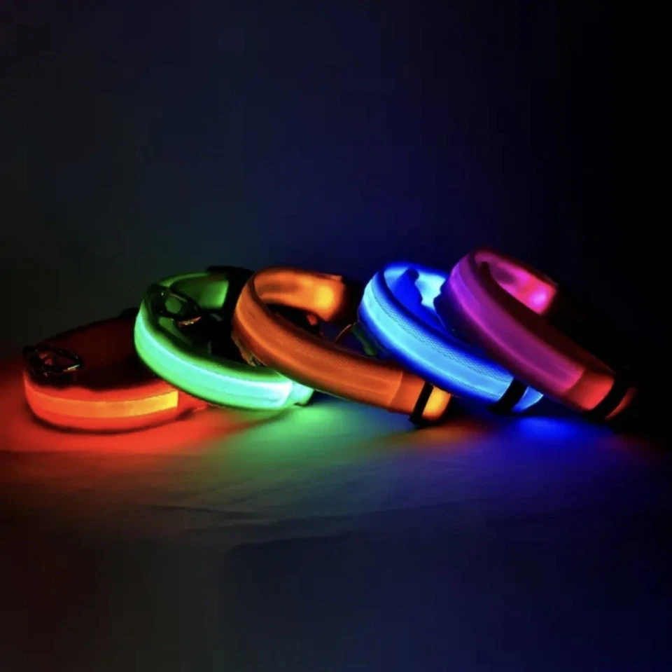 Collare per Cane LED Fluo Regolabile Luminoso Cani 3 Taglie S - M - L Resistente - Immagine 4 di 4