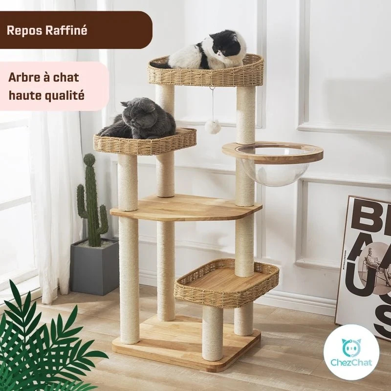 Arbre à chat robuste bois 130 cm au style scandinave pour grands chats