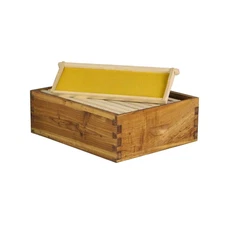 10-Frame Medium Honey Super Box, Wax-Dipped Fir Wood - Langstroth