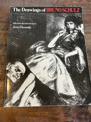 The Drawings of Bruno Schulz Edited by Jerzy Ficowski - Paperback Read