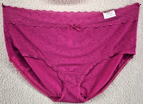 Cacique Panties Lot of 2 Stretch Lace High Leg Brief fushia pink 18 / 20 Plus - Picture 7 of 20