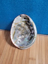 Large Beautiful 7"×5.5" Mother Of Pearl Abalone  Shell.OBO