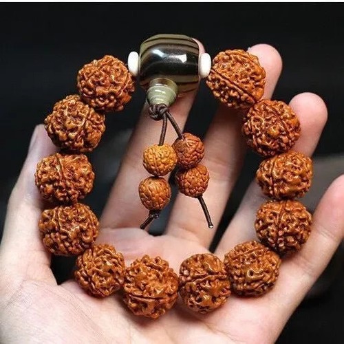 Brazalete Brazalete Amuleto Pulsera Rosario 20mm Natural Auténtico Rudraksha Oración - Imagen 2 de 12