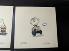 Foto 3 di 6