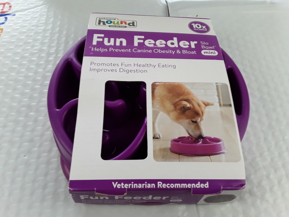 Outward Hound-Fun Feeder Mini Healthy Slow-Feeding Dog Bowl