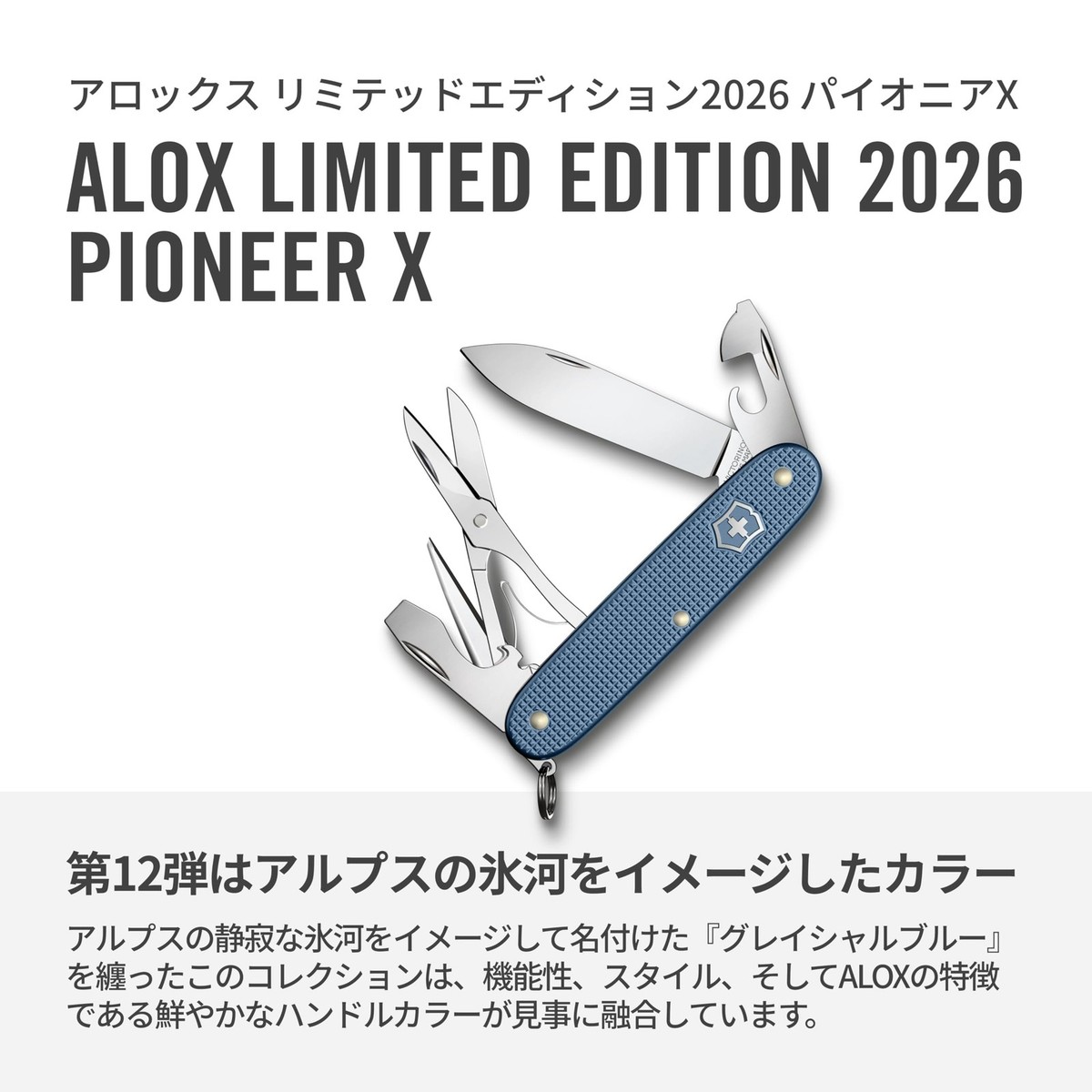 モルフォブルー Victorinox Pioneer X Alox Limited Edition 2026 Multi-Tool Glacial