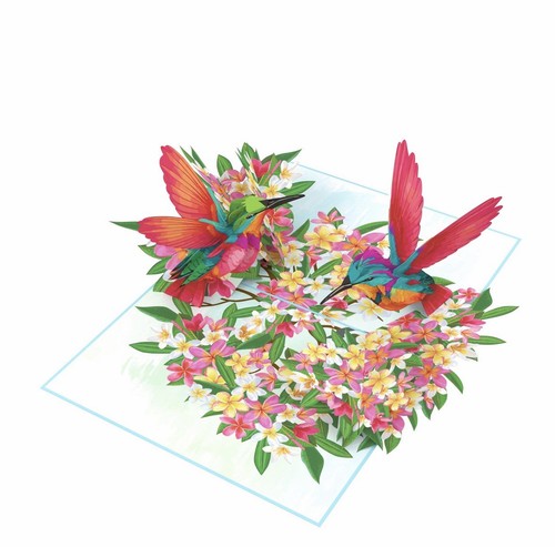 Pop Marks Hummingbird 3D Pop Up Card - Picture 6 of 7