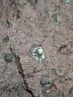 Bild 6 von 24