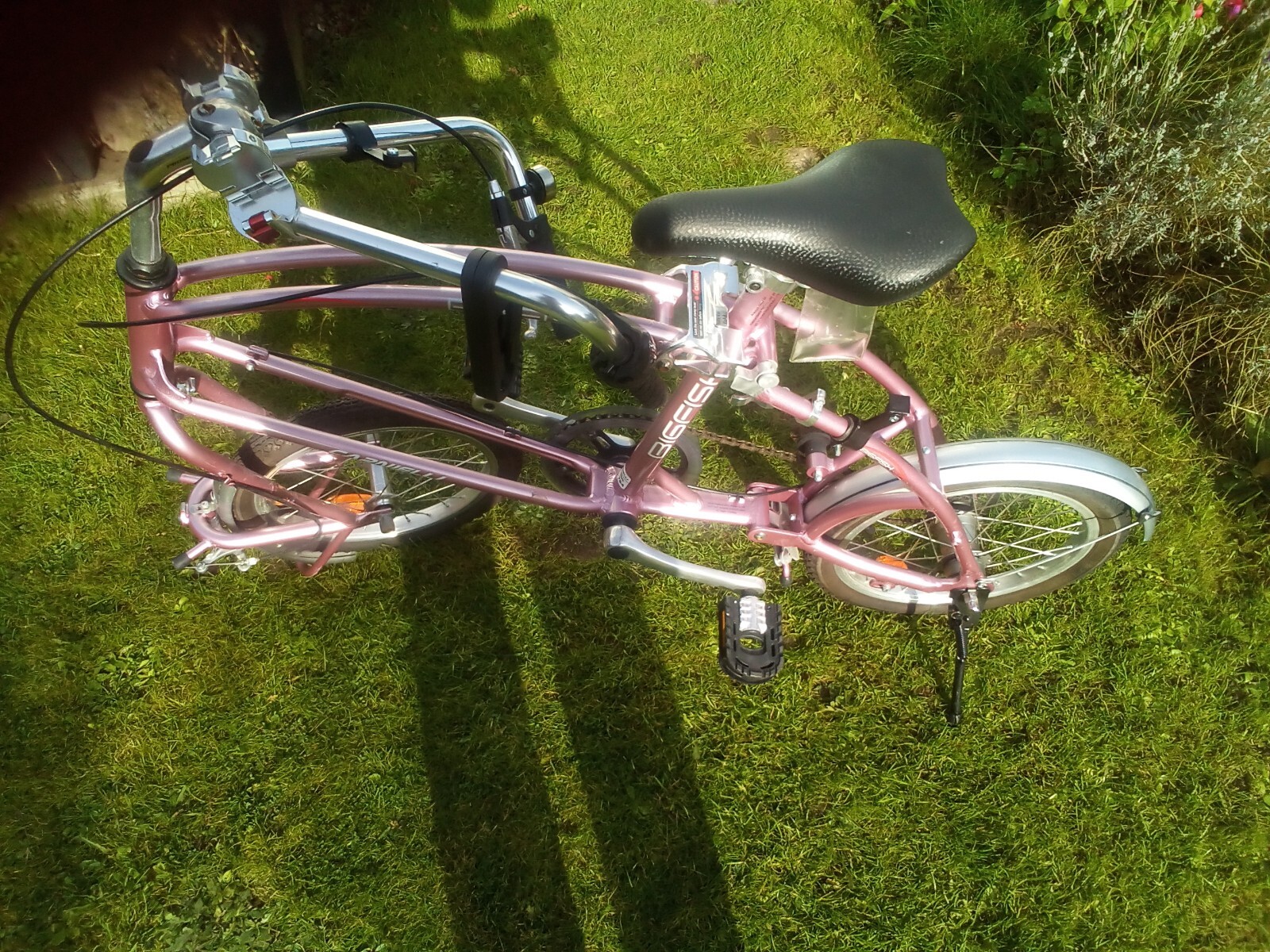 Bigfish carneilli folding bike eBay