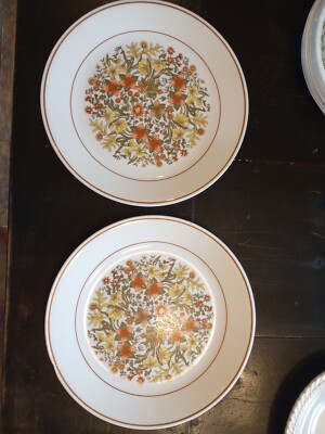 vtg Corelle Indian Summer 10 1/4
