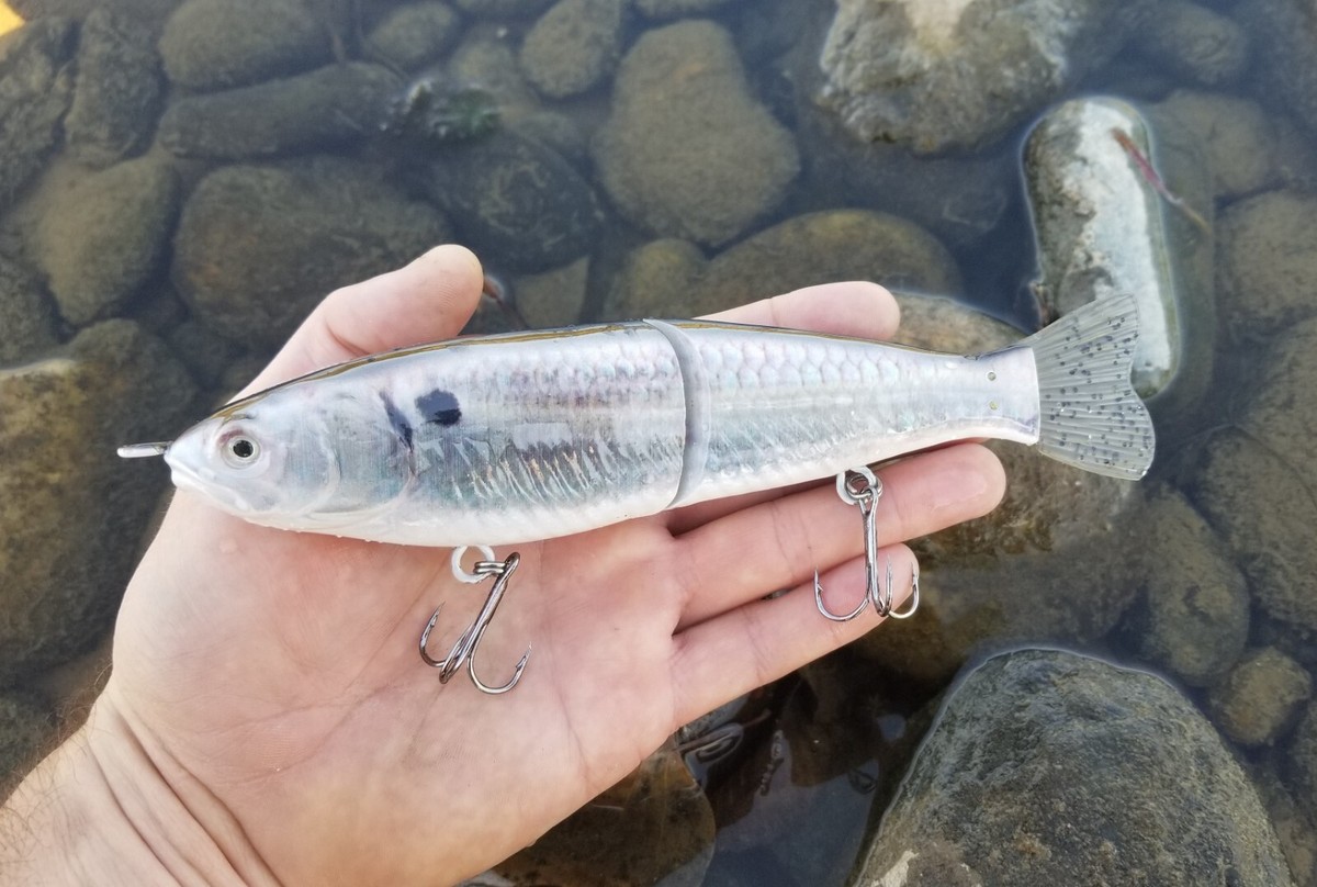 KG fish スイムベイト OWARI BAITS 8