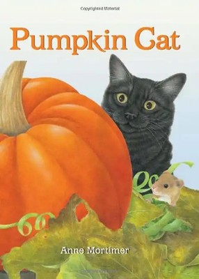 Pumpkin Cat