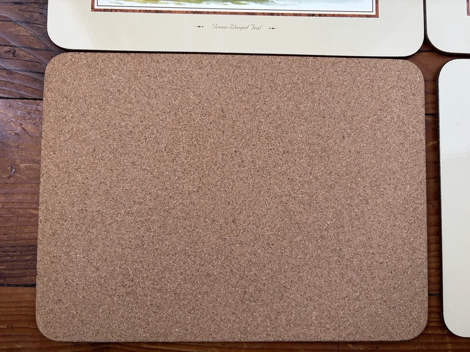 Jason Placemats Wood Ducks By Henry Jones Scenery Cork Back Set Original Box NZ - Image 4 of 4