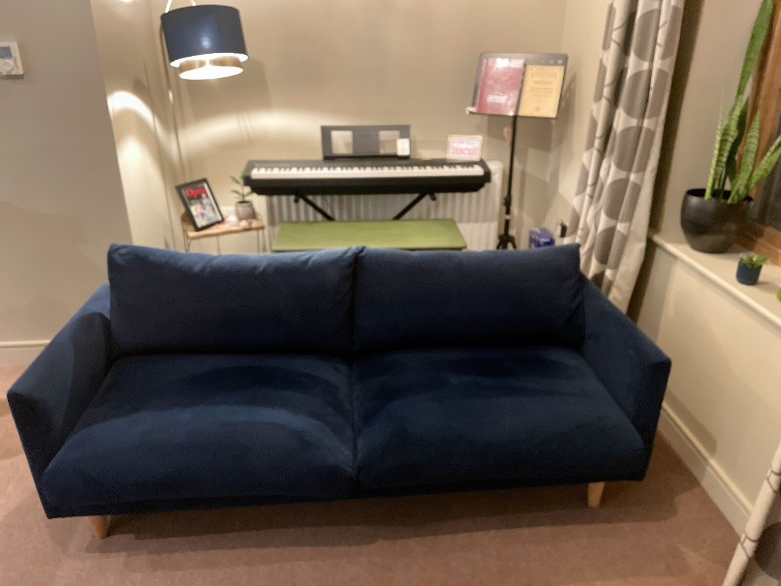 Swoon Luna Velvet 3 Seater Sofa eBay