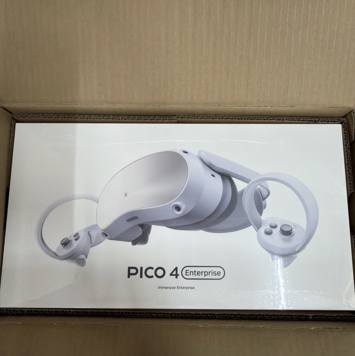 Pico 4 Enterprise (8GB + 256GB) White - NEW SEALED | eBay