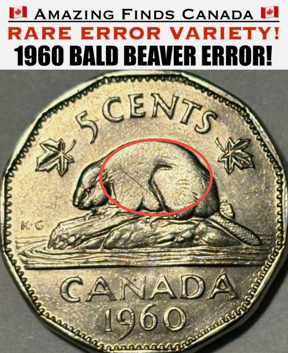 RARE* 1960 Canada 5 Cent Nickel! *BALD BEAVER WEAK STRIKE ERROR