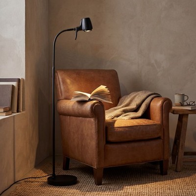 Serious Readers HD Pro Stehlampe Leselicht Tageslicht dimmbar LED Neu Best