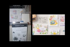 Stampin’ Up! Hello Dear Friend Card Kit W/ Gorgeous Posies Stamp Set/ink/ribbon