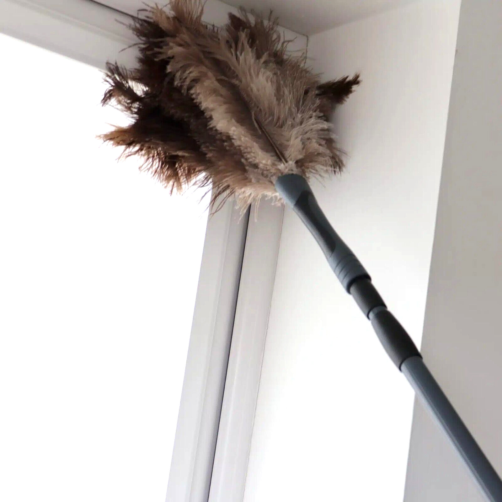 Home Valet Ozzie Ostrich Feather Duster Extendable Pole Use as Hand Held HVOOFD
