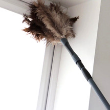 Home Valet Ozzie Ostrich Feather Duster Extendable Pole Use as Hand Held HVOOFD