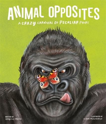 Animal Opposites by Autumn Publishing HARDBACK 9781837959419 - Image 7
