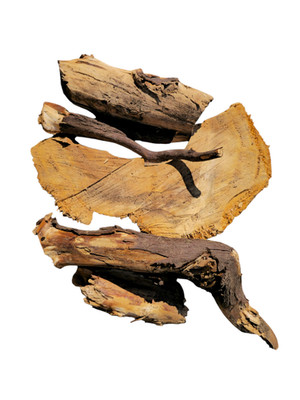 Mammoth Tree Root Fragments   Sequoiadendron giganteum Wood Carving Material