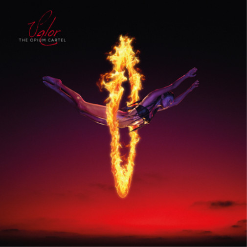 12 альбомов The Opium Cartel Valor (винил) (ИМПОРТ из Великобритании)