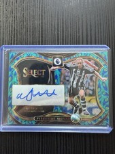 Panini Select PL  24/25 Pitchside Signatures -  Nicky butt - Newcastle - Peacock