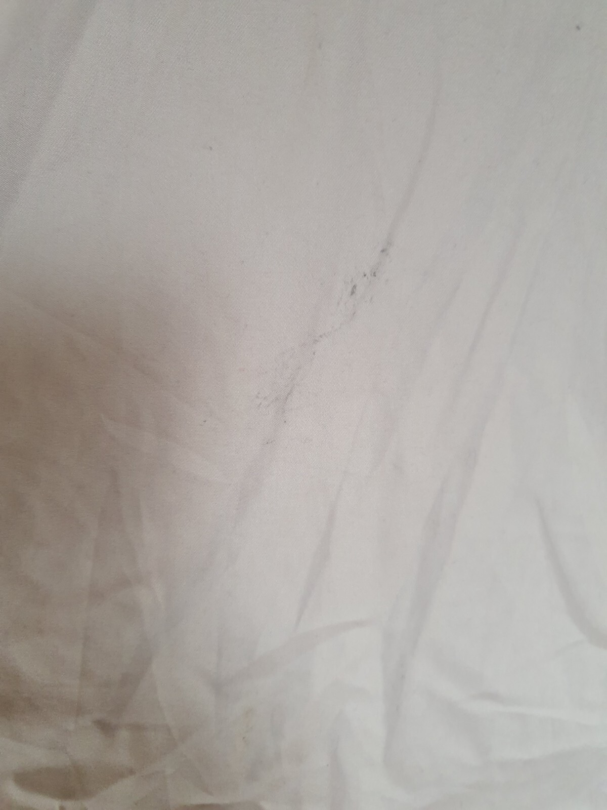 Picture 16 of 17