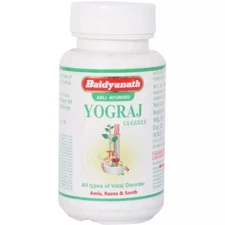 Baidyanath Yogaraj Guggulu (120 Tablets) Herbal Ayurvedic Wellness