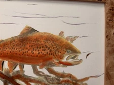 Trout Brown Trout Fly Fishing Watercolor Print Art Painting  Signed by Artist