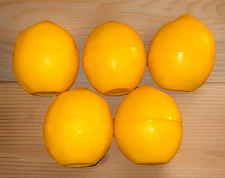 Set Of 5 Fruit/Lemon Shaped Storage Containers/Screw On Top-New