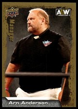 2022 Upper Deck AEW Arn Anderson #95 Gold