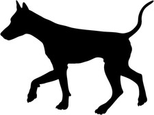 Doberman Pinschers Decal STP-19A Window, for Trucks, Windows Cars Laptops  more