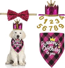 Pink Girl Dog Birthday Bandana, Hat, Bow Tie Set, Pet Party Supplies, Bib